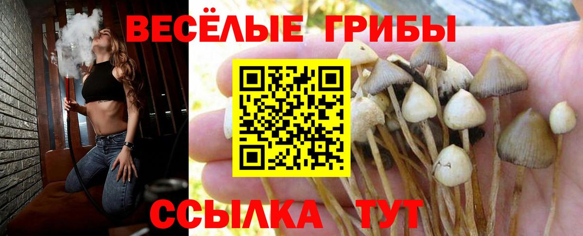 Галлюциногенные грибы ЛСД Лобня