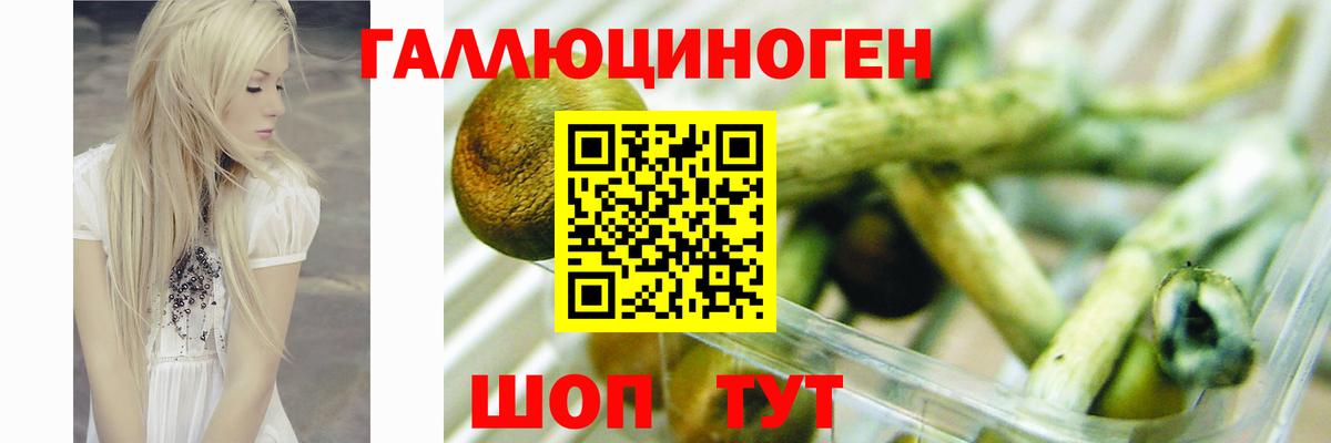 Галлюциногенные грибы ЛСД  Галлюциногенные грибы Magic Shrooms  Лобня  Вход с VPN 